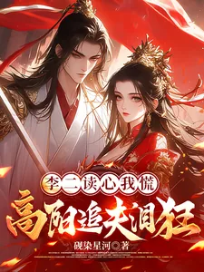《李二读心我慌，高阳追夫泪狂》小说封面
