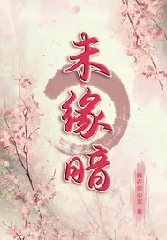 《未缘暗》小说封面