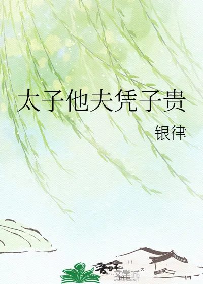 《太子他夫凭子贵》小说封面