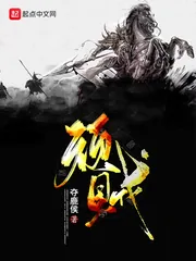 《顽贼》小说封面