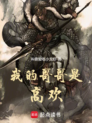 《我的哥哥是高欢》小说封面