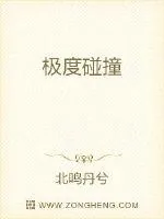 《极度碰撞》小说封面