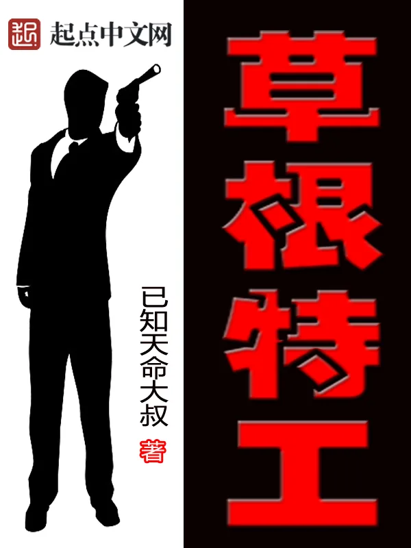 《草根特工》小说封面
