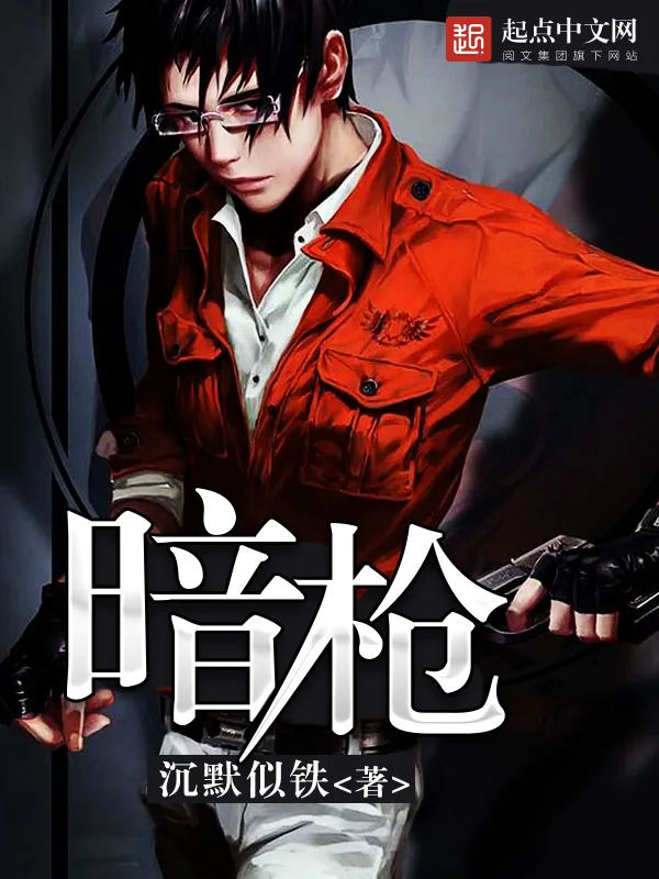 《暗枪》小说封面