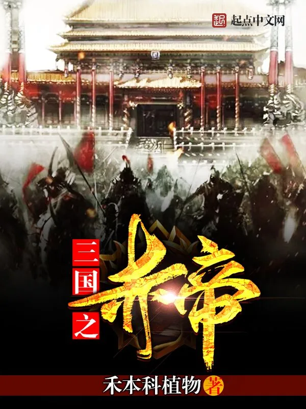 《三国之赤帝》小说封面