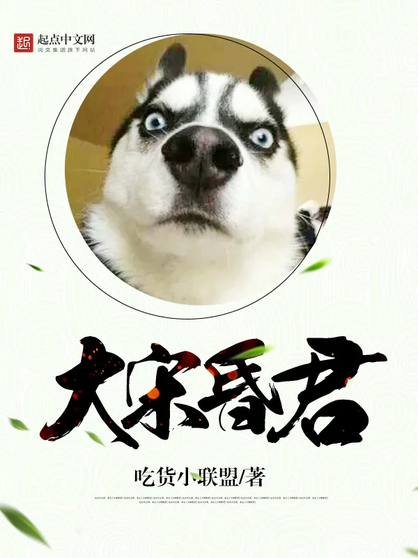 《大宋昏君》小说封面