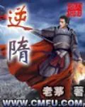 《逆隋》小说封面