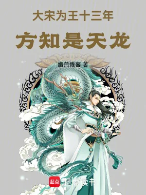 《大宋为王十三年，方知是天龙》小说封面