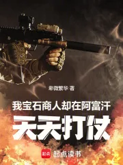 《我宝石商人，却在阿富汗天天打仗》小说封面