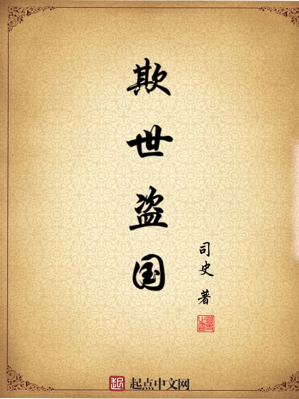 《欺世盗国》小说封面