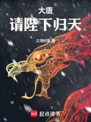 《大唐：请陛下归天》小说封面