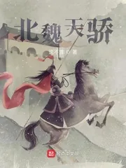 《北魏天骄》小说封面