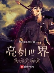 《亮剑世界团长的弟弟》小说封面