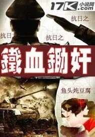 《抗日之铁血锄奸》小说封面