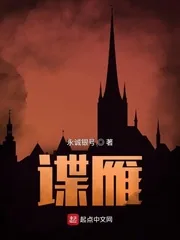 《谍雁》小说封面