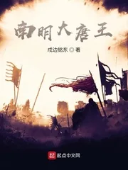 《南明大唐王》小说封面