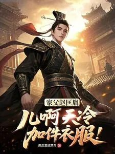 《家父赵匡胤，儿啊天冷加件衣服！》小说封面