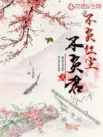 《不负红尘不负君》小说封面
