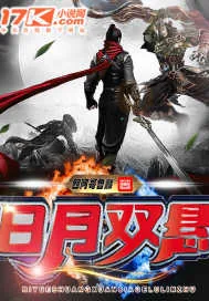 《日月双悬》小说封面