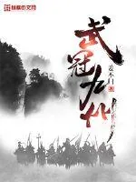 《武冠九州》小说封面