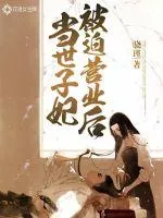 《当世子妃被迫营业后》小说封面