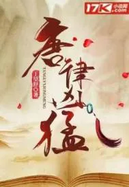 《唐律凶猛》小说封面