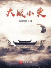 《大顺小吏》小说封面