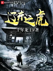 《辽东之虎》小说封面