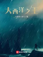 《大西洋之王》小说封面