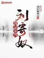 《我是东晋刘寄奴》小说封面
