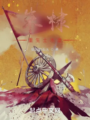 《朱棣重生土木堡》小说封面