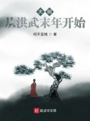 《大明：从洪武末年开始》小说封面