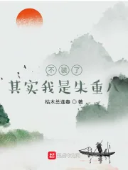 《不装了，其实我是朱重八》小说封面