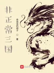 《非正常三国》小说封面