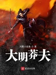《大明莽夫张昊》小说封面