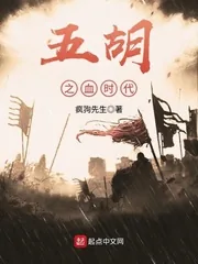 《五胡之血时代》小说封面