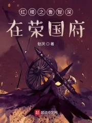 《红楼之鲁智深在荣国府》小说封面