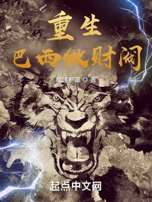 《重生巴西做财阀》小说封面
