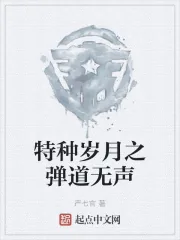 《特种岁月之弹道无声》小说封面
