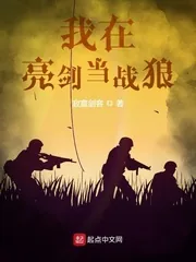 《我在亮剑当战狼》小说封面