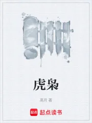 《虎枭》小说封面