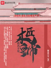 《我真不是木匠皇帝》小说封面