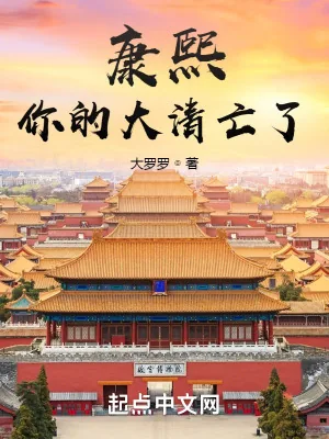 《康熙，你的大清亡了》小说封面