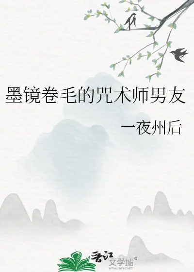 《墨镜卷毛的咒术师男友》小说封面