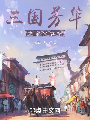 《三国芳华之家父袁绍》小说封面