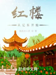 《红楼从辽东开始》小说封面