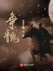 《争魏》小说封面