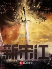 《水浒之新宋江》小说封面