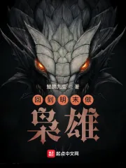 《回到明末做枭雄》小说封面