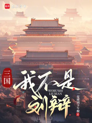 《三国：我不是刘辩》小说封面